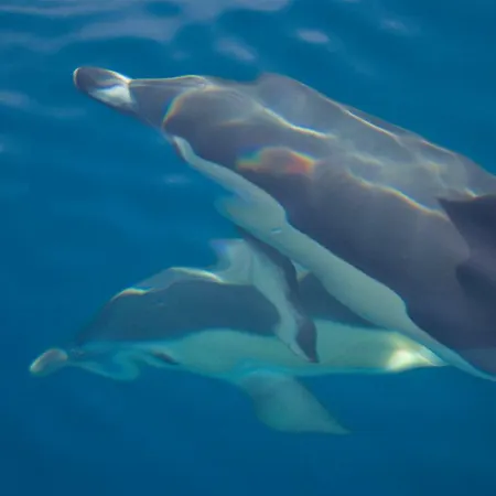 Quinta Da Esteva Willa